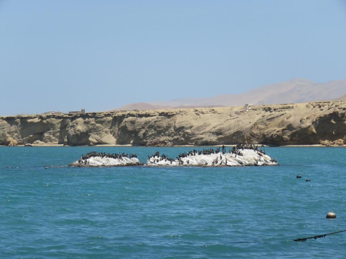 Paracas Apartment エクステリア 写真